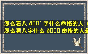 怎么看八 🌴 字什么命格的人（怎么看八字什么 💐 命格的人最好）